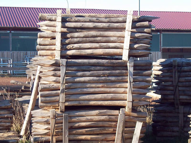 Robinienholzpfähle die für Weidezäune geeignet sind stehen gestapelt vor einem Stall